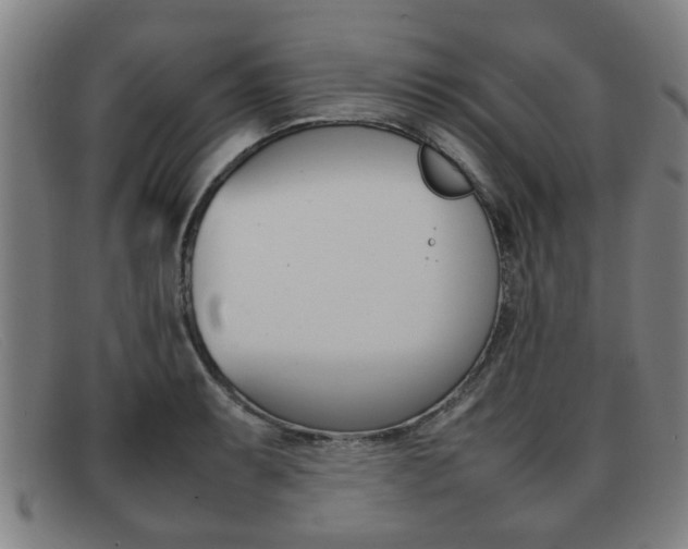 X0000092061087200709121001