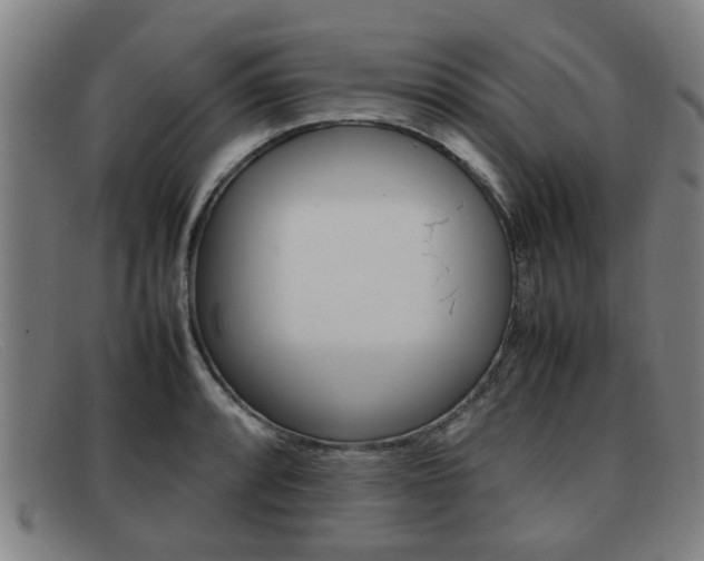 X0000092061088200709121001