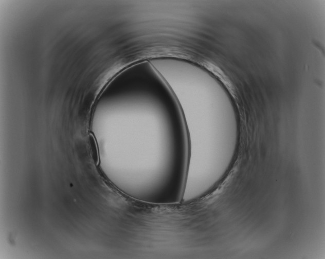 X0000092061089200709121001