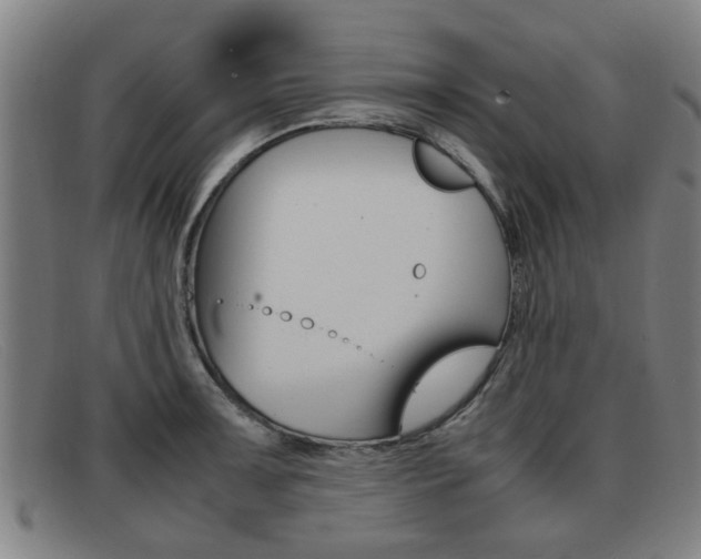 X0000092061091200709121001