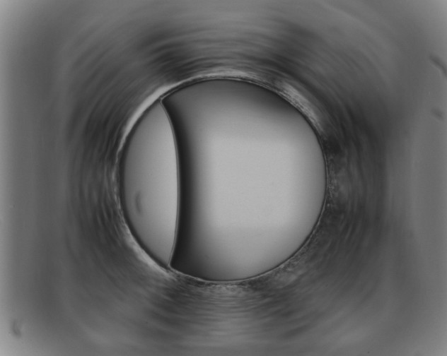 X0000092061092200709121001