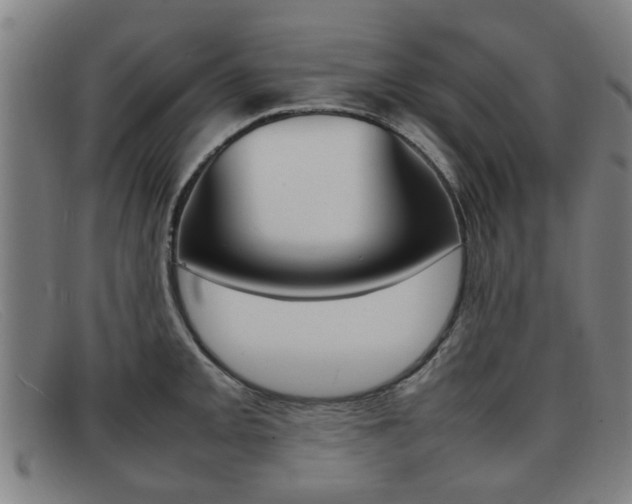 X0000092061093200709121001