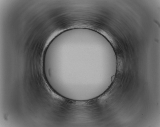 X0000092061094200709121001