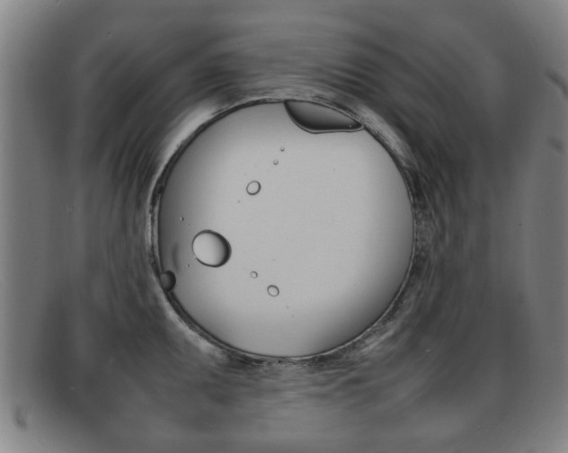 X0000092061095200709121001
