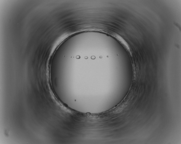 X0000092061096200709121001