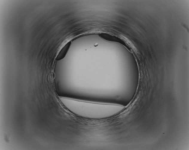 X0000092061097200709121001