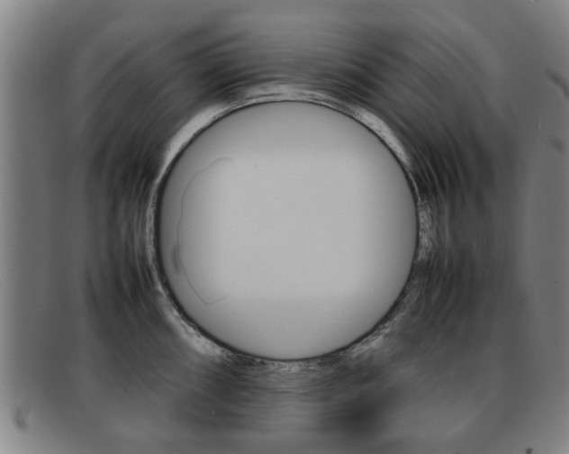 X0000092061098200709121001