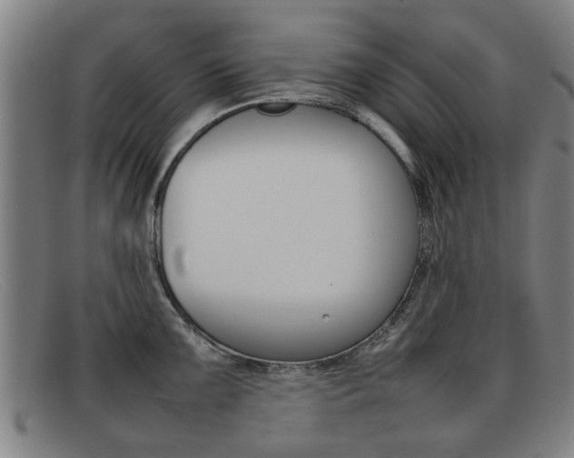 X0000092061099200709121001