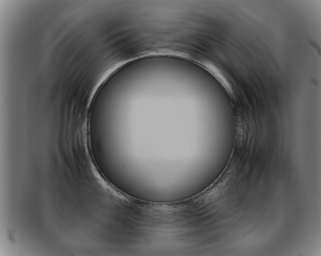 X0000092061100200709121000