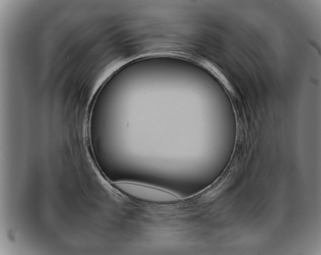 X0000092061101200709121000