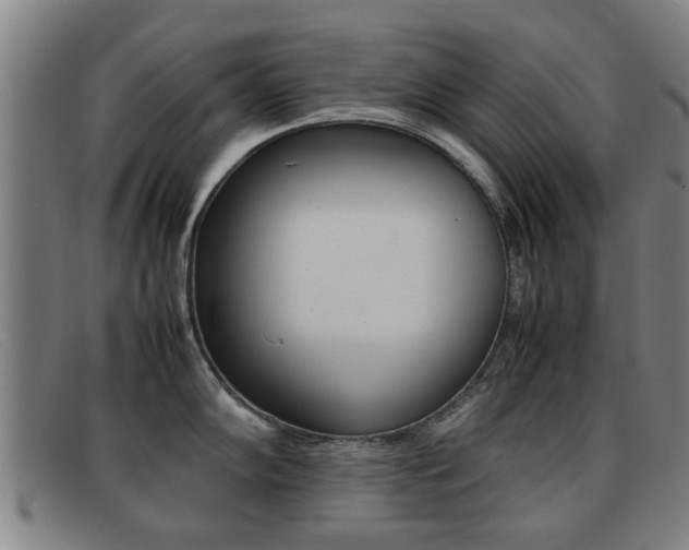 X0000092061102200709121000