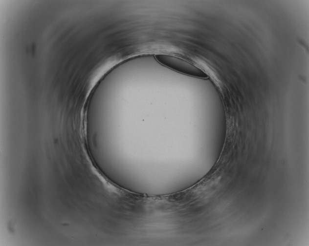 X0000092061103200709121000