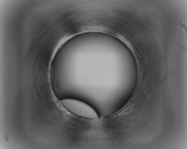 X0000092061104200709121000