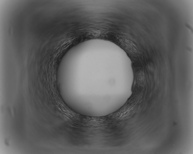 X0000092061105200709121000
