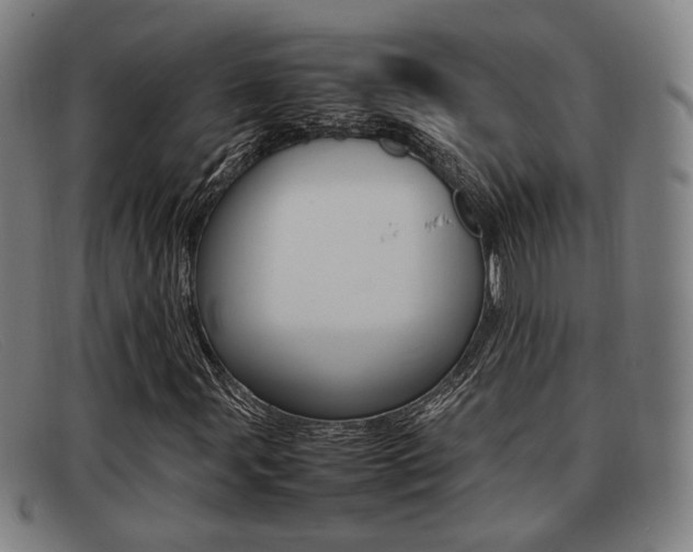 X0000092061107200709121000