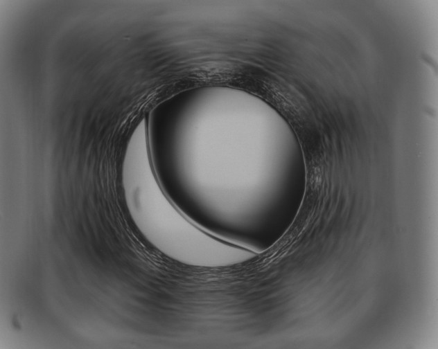 X0000092061108200709121000