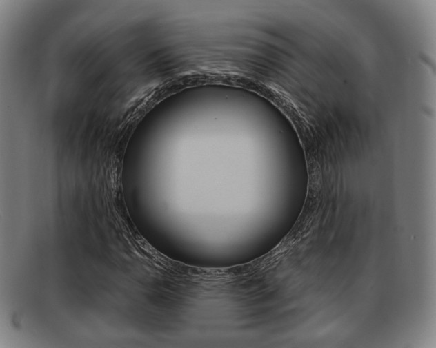 X0000092061110200709121000