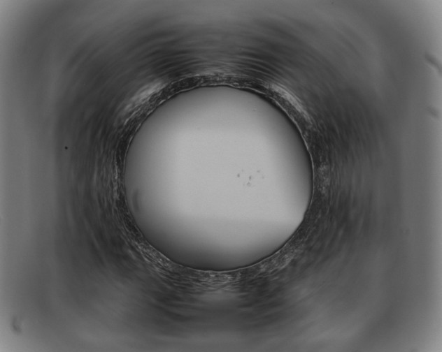 X0000092061111200709121000