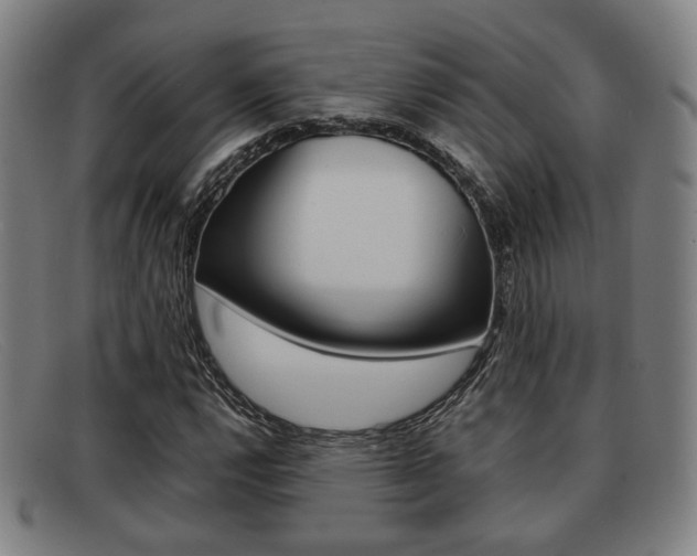 X0000092061112200709121000