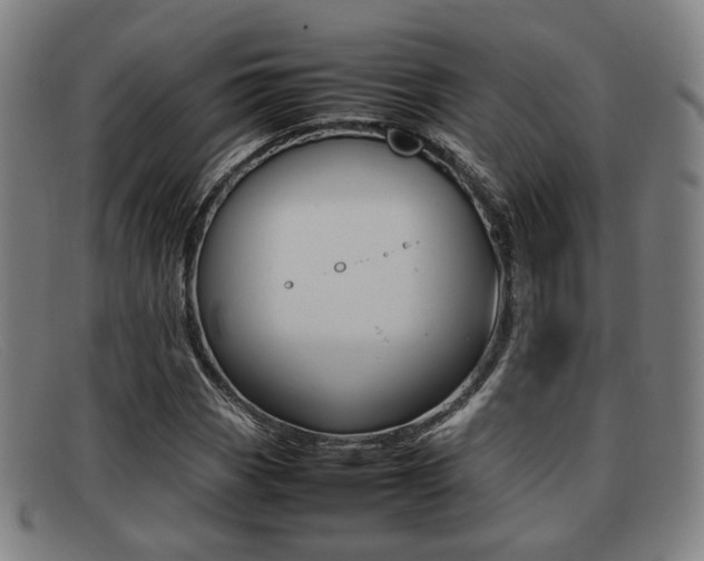 X0000092061113200709121000