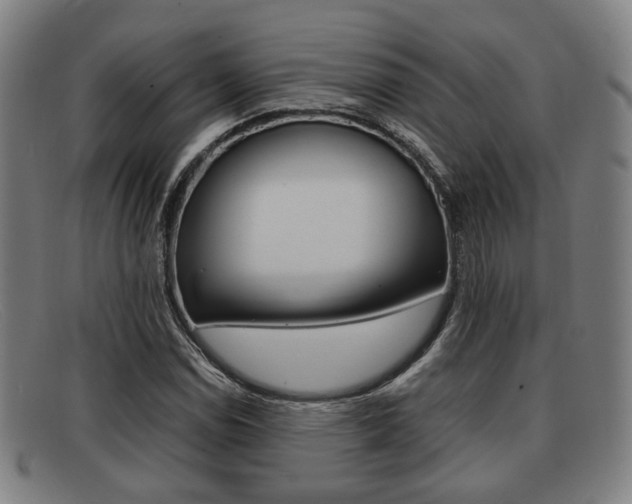 X0000092061114200709121000