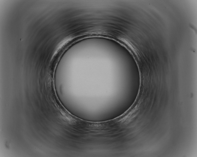 X0000092061115200709121000