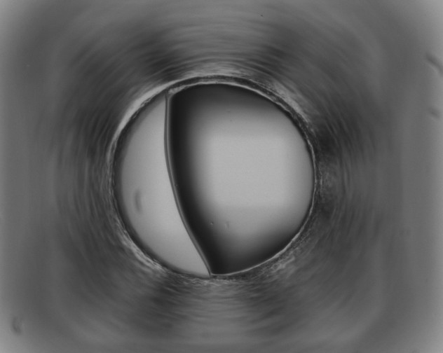 X0000092061116200709121000