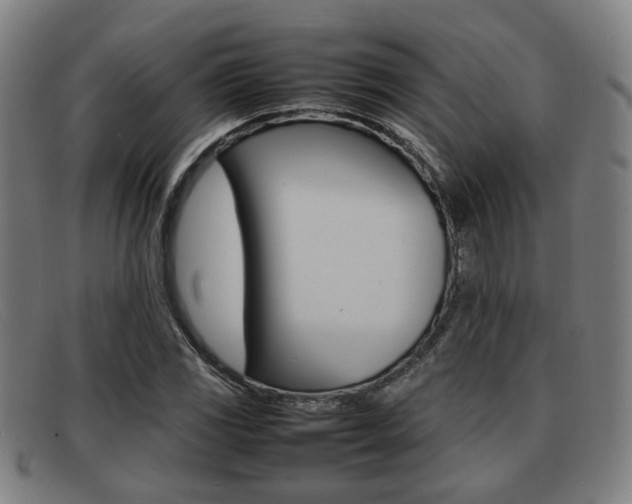 X0000092061117200709121000