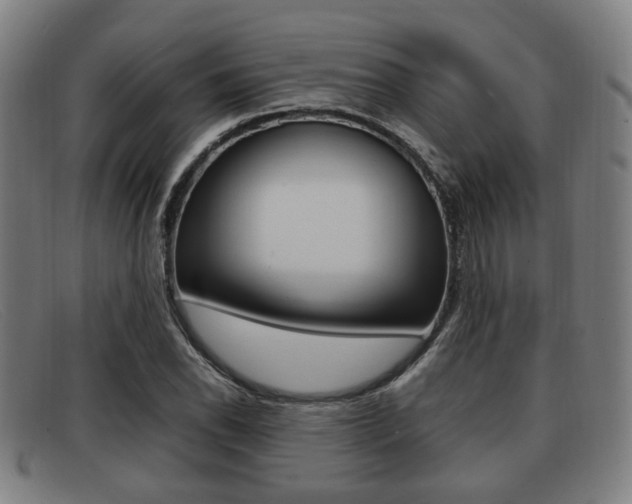 X0000092061118200709121000