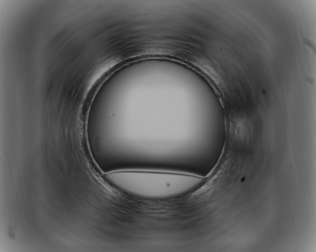 X0000092061119200709121000