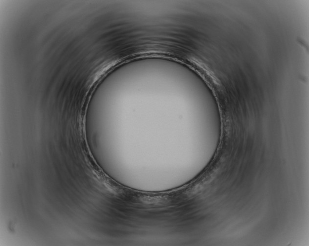 X0000092061121200709121000