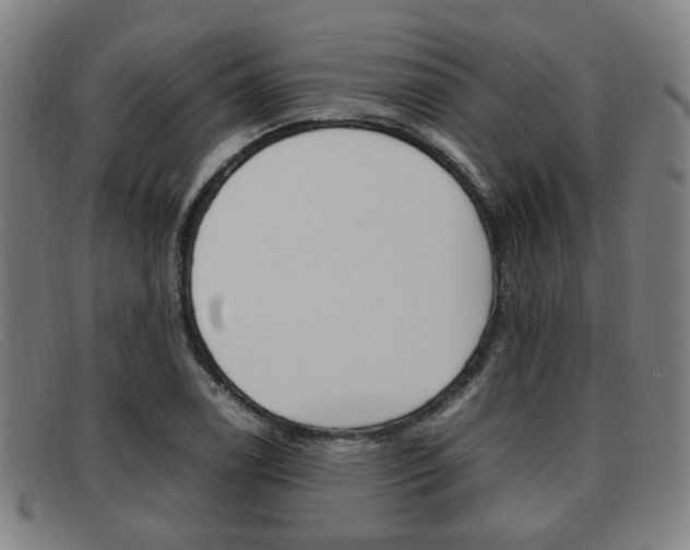 X0000092061122200709121000