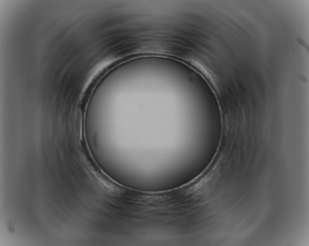 X0000092061123200709121000