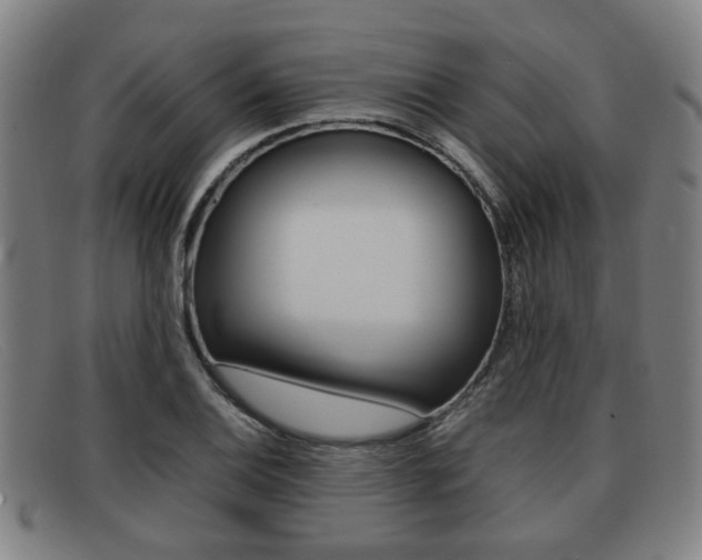 X0000092061124200709121000