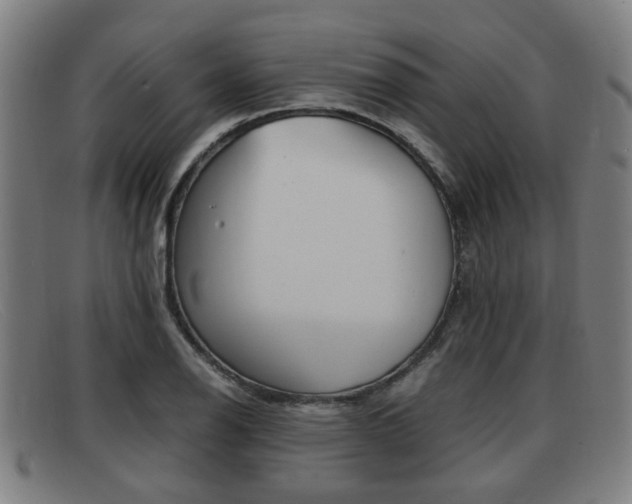 X0000092061126200709121000
