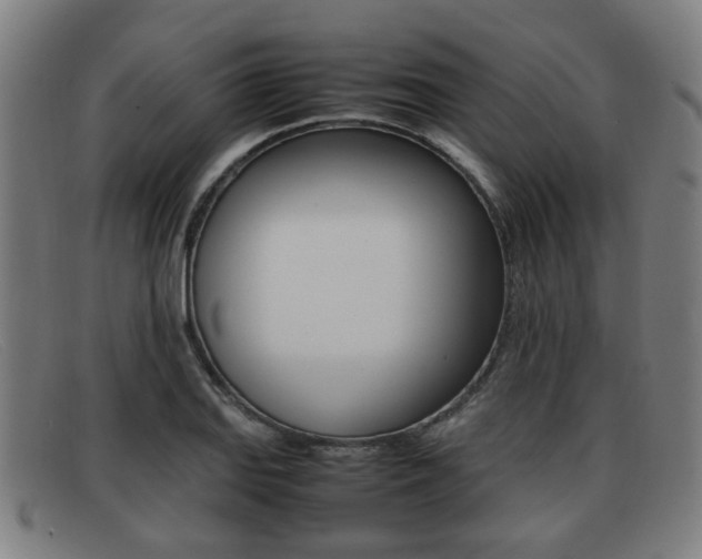 X0000092061127200709121000