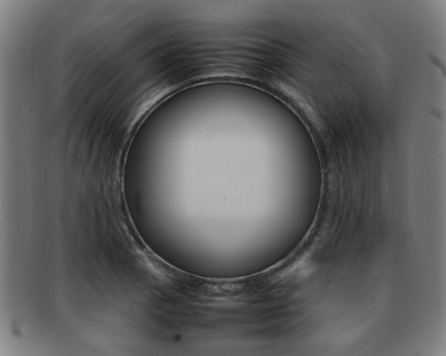 X0000092061129200709121000