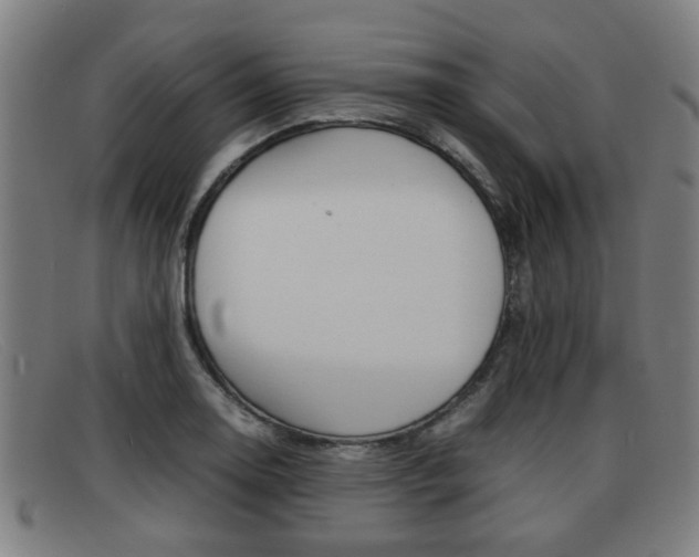 X0000092061130200709121000