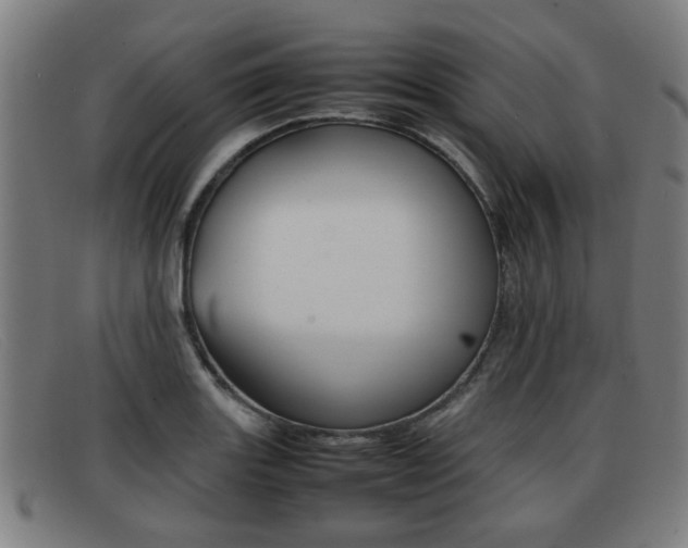 X0000092061131200709121000