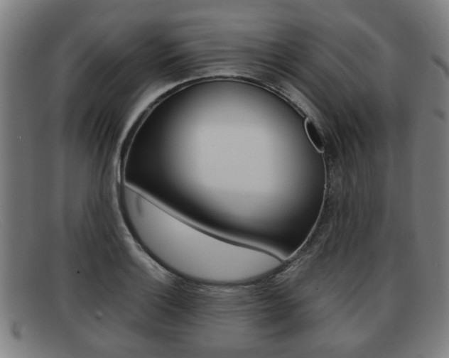 X0000092061132200709121000
