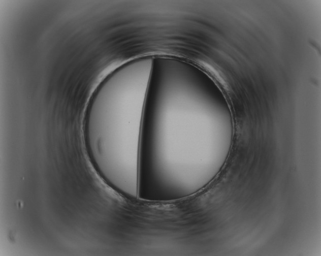 X0000092061133200709121000