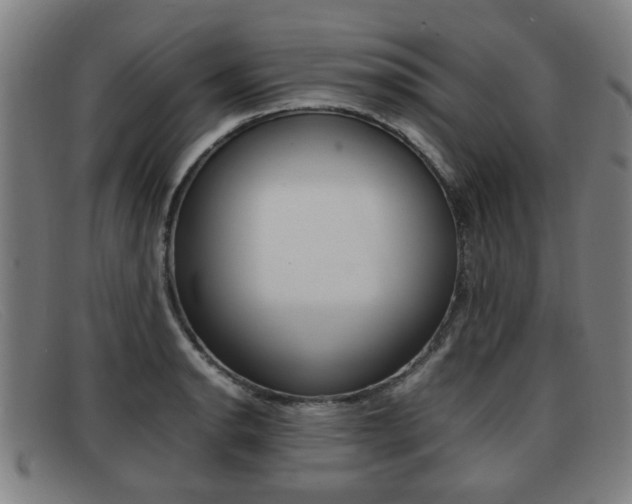 X0000092061134200709121000
