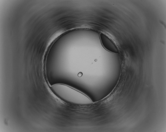 X0000092061135200709121000