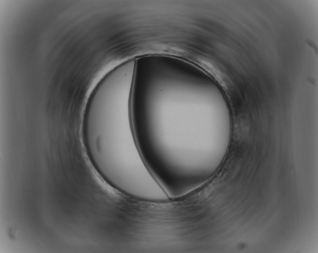X0000092061136200709121000