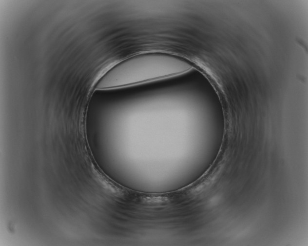 X0000092061137200709121000