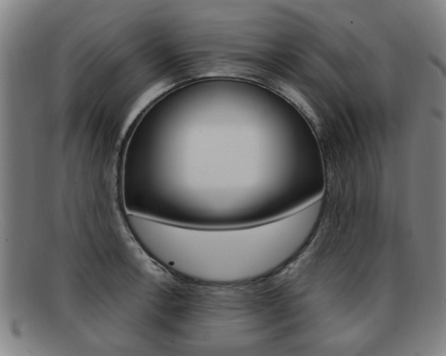X0000092061138200709121000