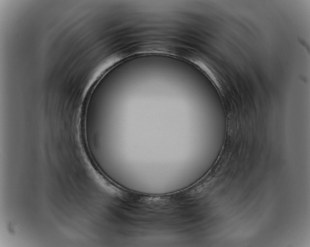 X0000092061139200709121000