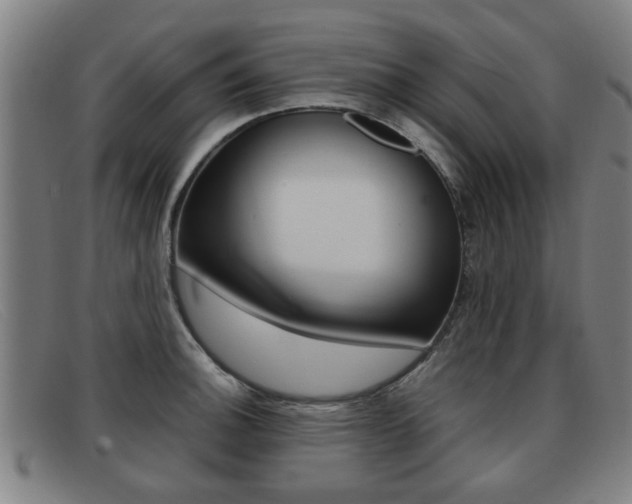 X0000092061140200709121000