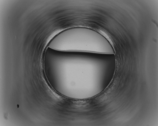 X0000092061141200709121000