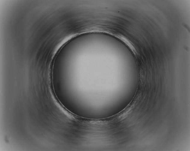 X0000092061142200709121000